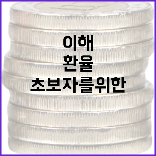 미국 환율 이해하는 방법: 초보자를 위한 가이드 - 요약