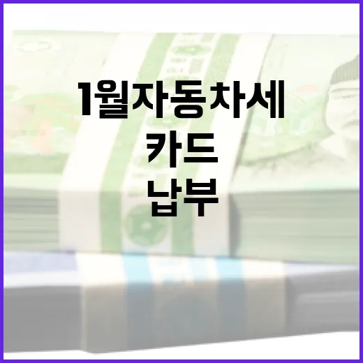1월 자동차세를 카드로 납부하는 방법과 혜택 - 요약