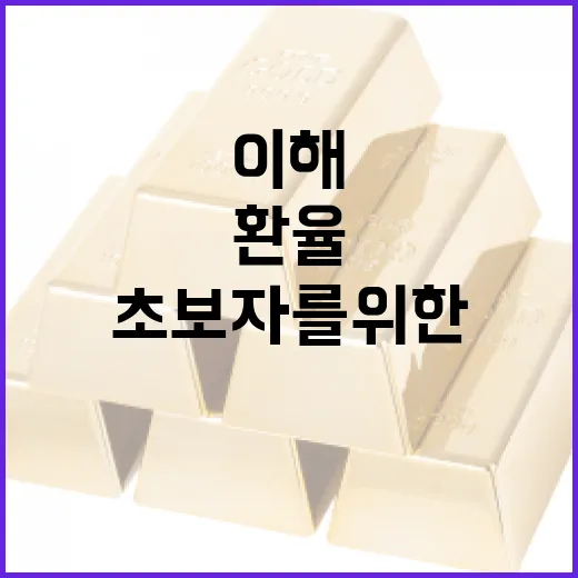 미국환율 이해하는 방법: 초보자를 위한 가이드 - 요약