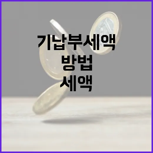 기납부세액을 이해하고 최적화하는 방법 - 요약