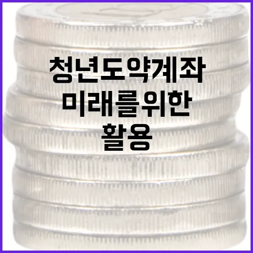 청년도약계좌를 활용하는 방법: 미래를 위한 재무 전략 - 요약