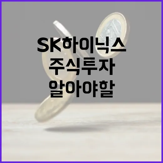 SK하이닉스 주식 투자에 대해 알아야 할 모든 것 - 요약