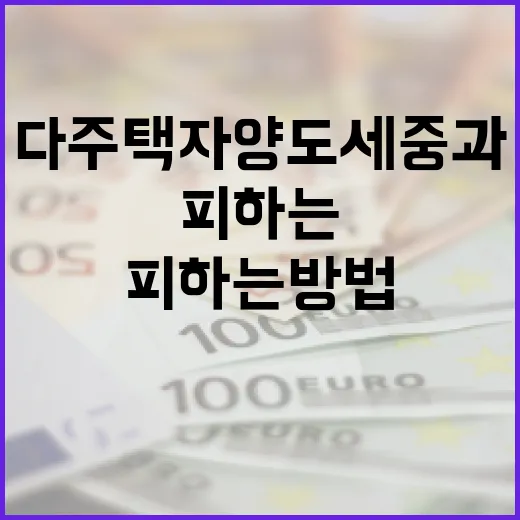 다주택자 양도세 중과를 피하는 방법 - 요약