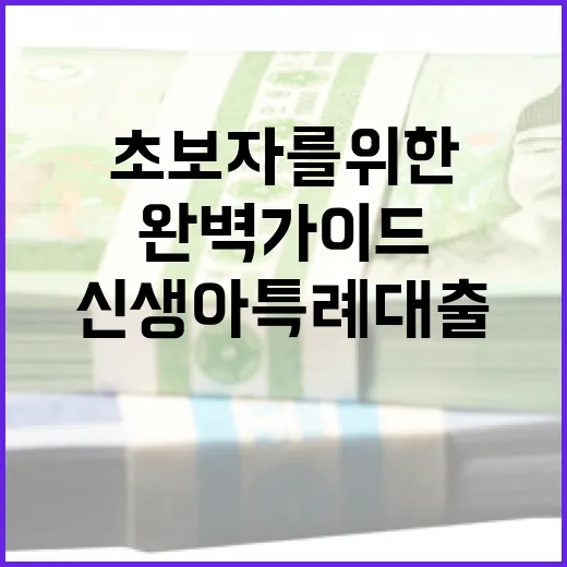 신생아 특례대출 이해하기: 초보자를 위한 완벽 가이드 - 요약