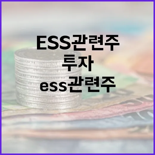 ESS 관련주에 투자하는 방법 - 요약
