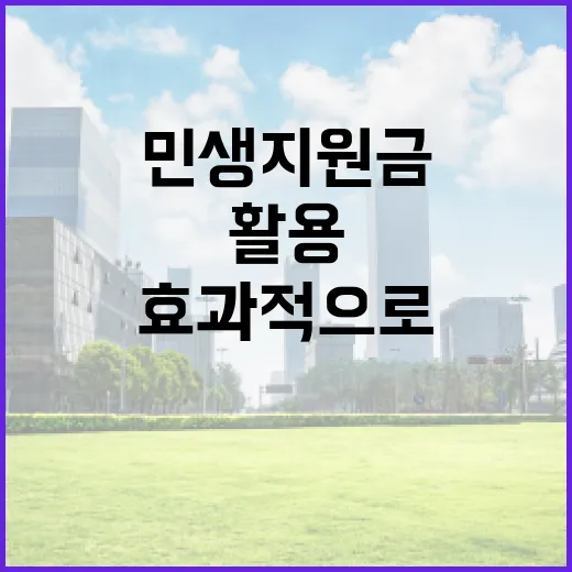 민생지원금을 효과적으로 활용하는 방법 - 요약