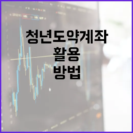 청년도약계좌를 효과적으로 활용하는 방법 - 요약