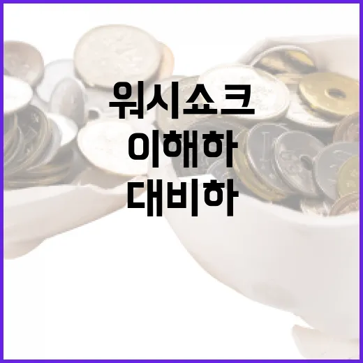 워시쇼크를 이해하고 대비하는 방법 - 요약