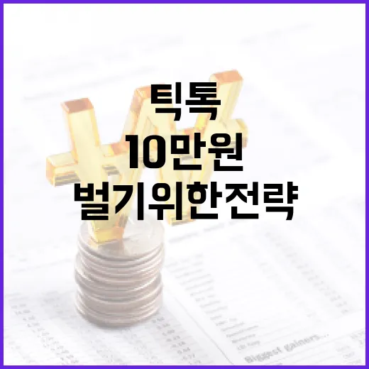 틱톡으로 10만원 벌기 위한 전략 - 요약