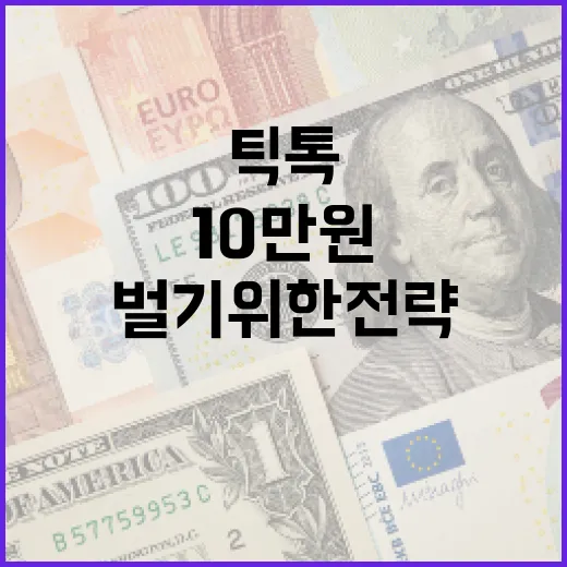 틱톡에서 10만원 벌기 위한 전략 - 요약
