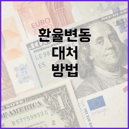 환율 변동을 이해하고 대처하는 방법 - 요약