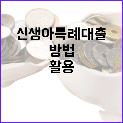 신생아 특례대출을 활용하는 방법 - 요약