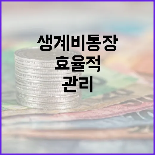 생계비통장을 효율적으로 관리하는 방법 - 요약