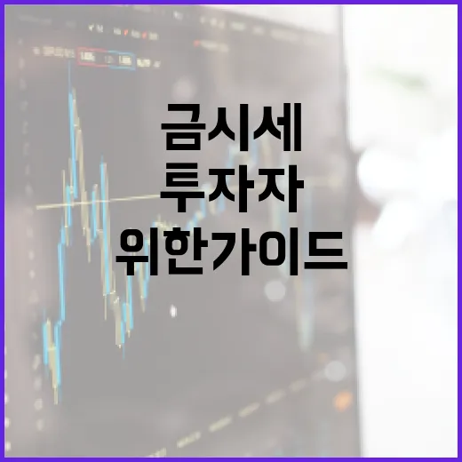 금시세를 이해하는 방법: 투자자를 위한 가이드 - 요약