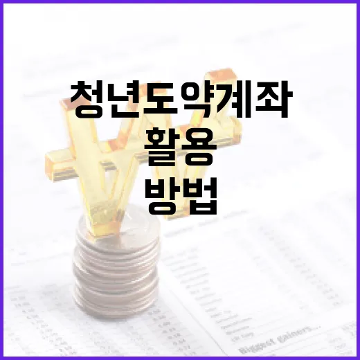 청년도약계좌를 효과적으로 활용하는 방법 - 요약
