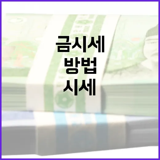 금시세를 예측하는 방법: 금융 애널리스트가 알려주는 팁 - 요약