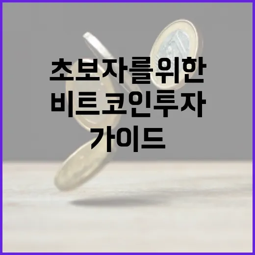 비트코인 투자 방법: 초보자를 위한 가이드 - 요약