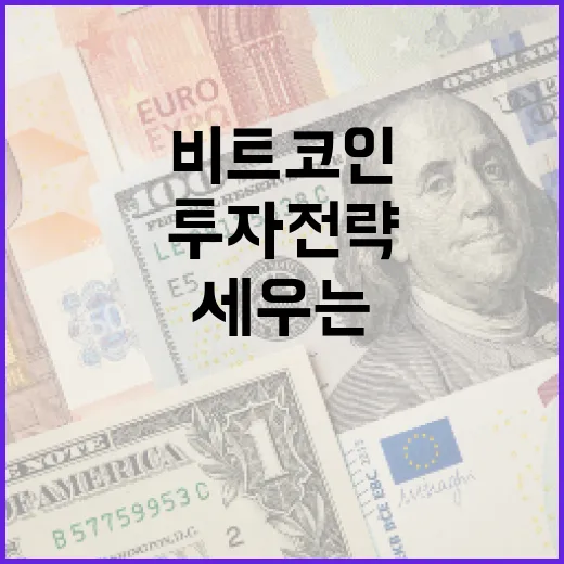 비트코인 투자 전략을 세우는 방법 - 요약