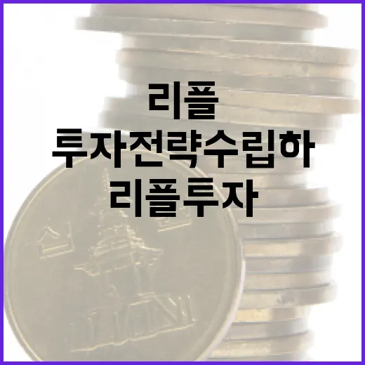 리플 투자 전략 수립하는 방법 - 요약