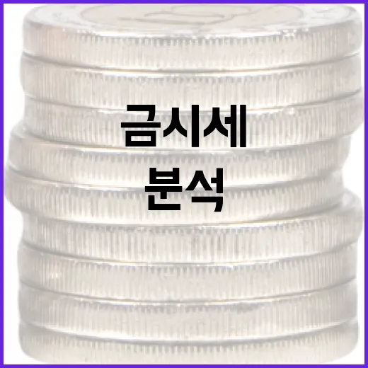 금시세 분석하는 방법: 투자 결정을 위한 필수 가이드 - 요약