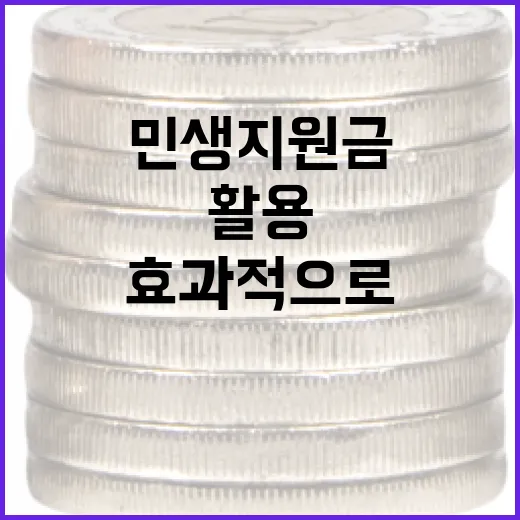 민생지원금을 효과적으로 활용하는 방법 - 요약