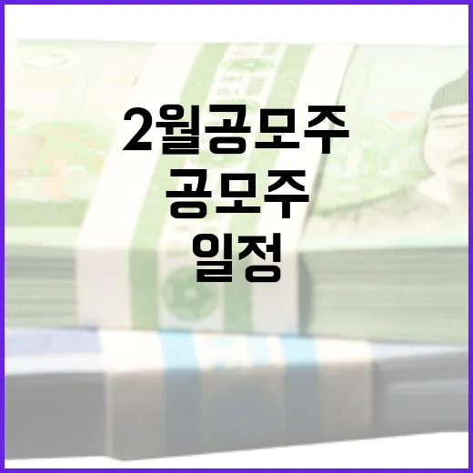 2월 공모주 일정을 효과적으로 준비하는 방법 - 요약