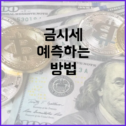 금시세를 이해하고 예측하는 방법 - 요약