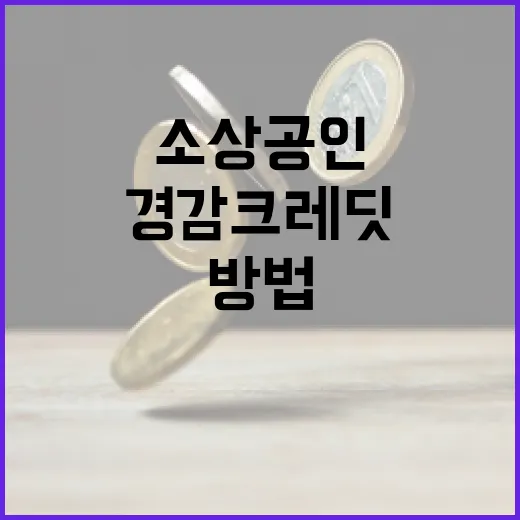 소상공인 경감크레딧을 활용하는 방법 - 요약