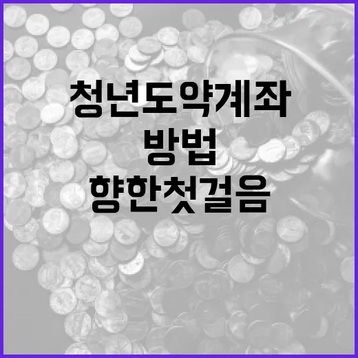 청년도약계좌를 활용하는 방법: 금융적 자유를 향한 첫걸음 - 요약