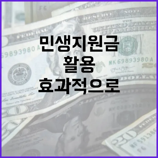 민생지원금을 효과적으로 활용하는 방법 - 요약