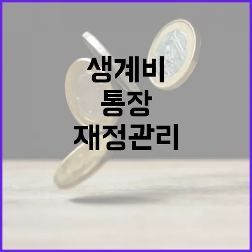 생계비통장을 활용하여 재정 관리하는 방법 - 요약