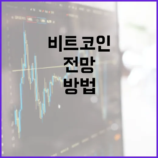 비트코인 전망을 이해하는 방법 - 요약