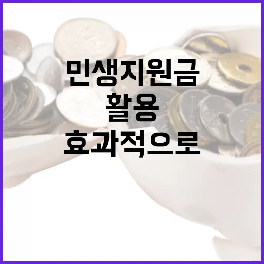 민생지원금을 효과적으로 활용하는 방법 - 요약