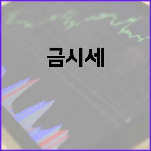 금시세를 이해하고 활용하는 방법 - 요약