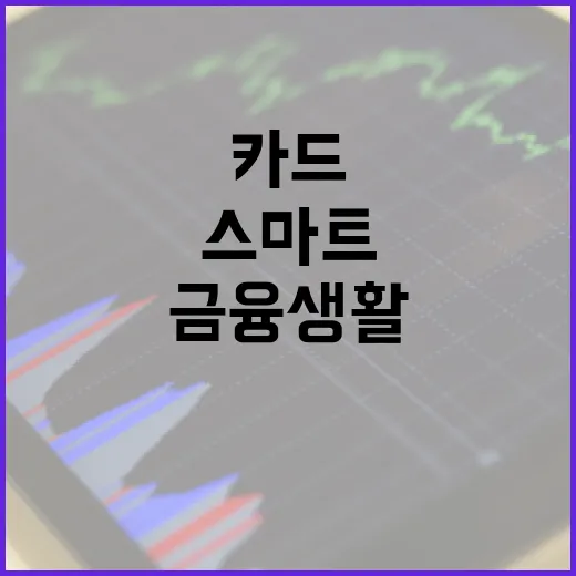 모두의카드로 금융 생활을 스마트하게 관리하는 방법 - 요약