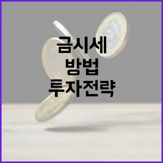 금시세를 이해하고 투자 전략 세우는 방법 - 요약