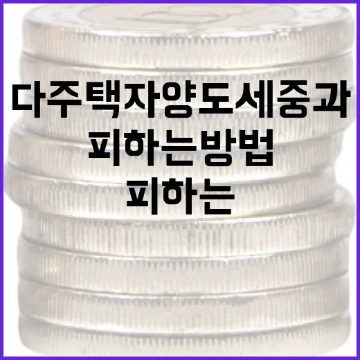 다주택자 양도세 중과를 피하는 방법 - 요약