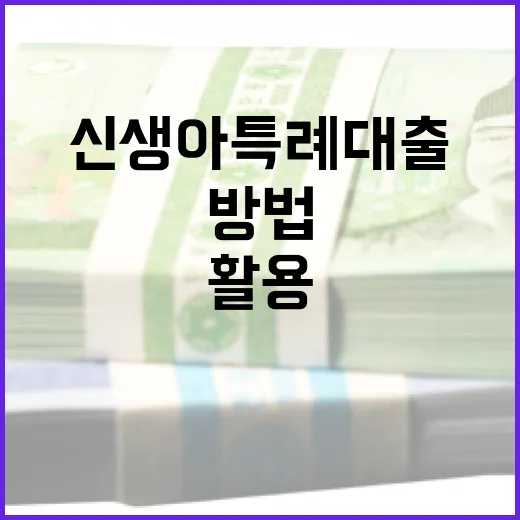 신생아 특례대출을 활용하는 방법 - 요약