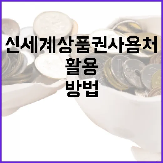 신세계상품권 사용처를 최대한 활용하는 방법 - 요약