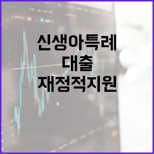 신생아 특례대출을 통해 재정적 지원을 받는 방법 - 요약