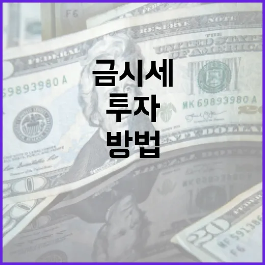 금시세를 이해하고 투자에 활용하는 방법 - 요약