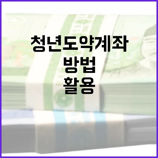 청년도약계좌를 성공적으로 활용하는 방법 - 요약