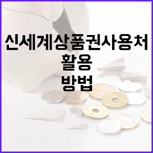 신세계상품권 사용처를 최대한 활용하는 방법 - 요약