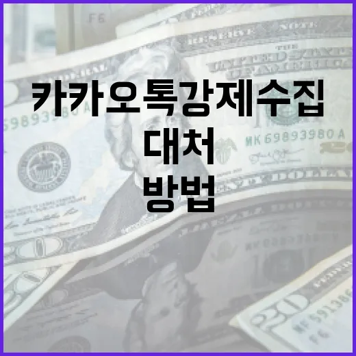 카카오톡 강제수집을 이해하고 대처하는 방법 - 요약