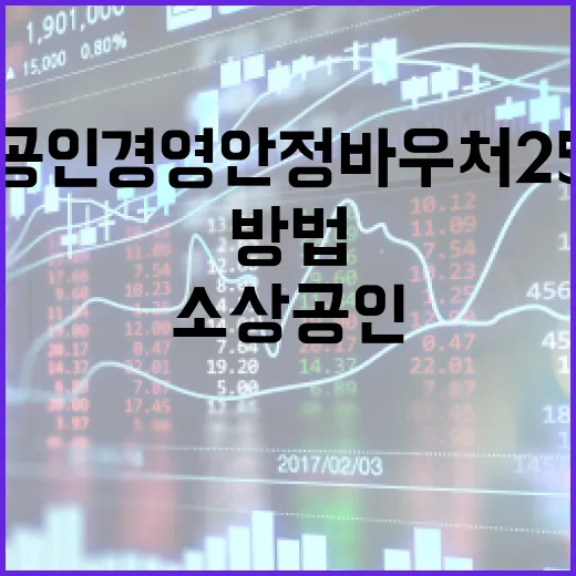 소상공인 경영안정바우처 25만원을 효과적으로 활용하는 방법 - 요약