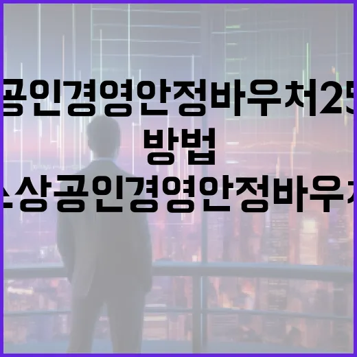 소상공인 경영안정바우처 25만원을 활용하는 방법 - 요약