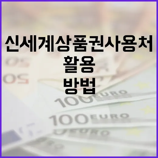 신세계상품권 사용처를 최대한 활용하는 방법 - 요약