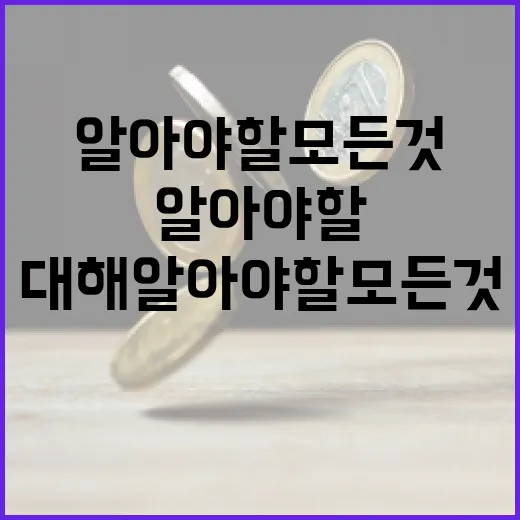 홍라영에 대해 알아야 할 모든 것: 금융 애널리스트로 성공하는 방법 - 요약