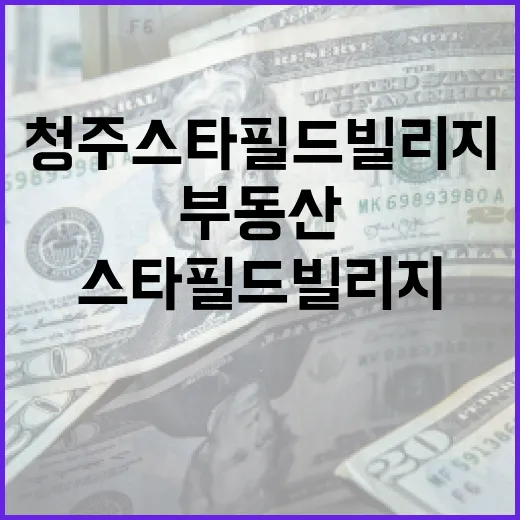 청주 스타필드 빌리지에서 부동산 투자를 최적화하는 방법 - 요약