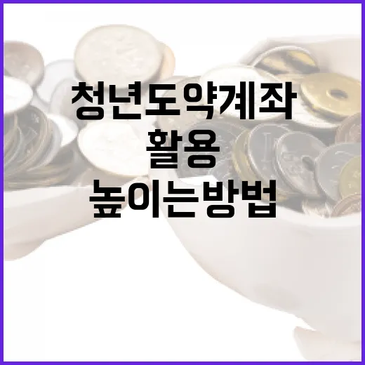 청년도약계좌를 활용하여 재정 안정성을 높이는 방법 - 요약
